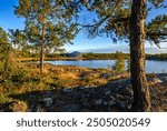 Pine trees framing a view of the Territorial Legislature building on the shore of Frame Lake in Yellowknife, Northwest Territories