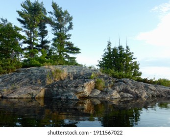 Pine Trees and Granite at Golden Hour on Georgian Bay Ontario - Powered by Shutterstock