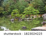The pine trees growing on the Tsuru-jima (crane island) and Kame-jima (turtle island) and reflecting in the water of the Kyoko-chi (Mirror) pond. Kinkaku-ji temple. Kyoto. Japan