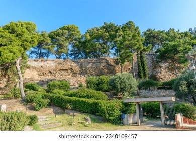 Pine trees inside the castle of Kalamata
