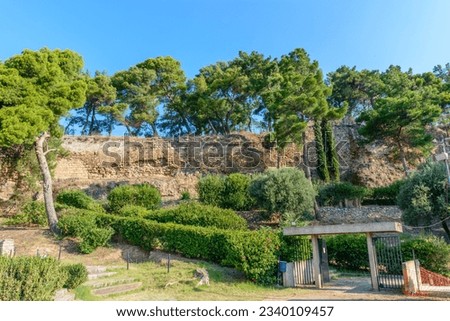Pine trees inside the castle of Kalamata