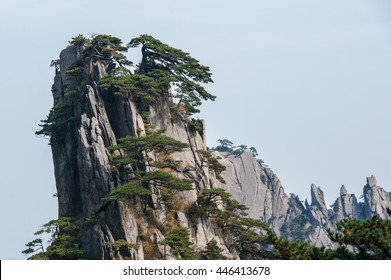 Pine Trees On Cliff Edge, Huangshan Mountain Range In China. Anhui Province - Scenic Landscape With Steep Cliffs And Trees During A Sunny Day. 