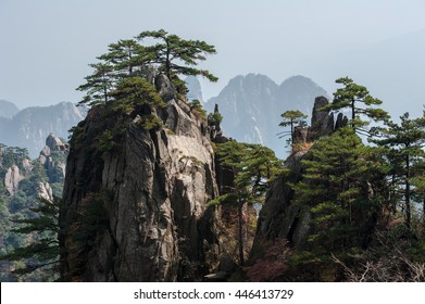 Pine Trees On Cliff Edge, Huangshan Mountain Range In China. Anhui Province - Scenic Landscape With Steep Cliffs And Trees During A Sunny Day. 