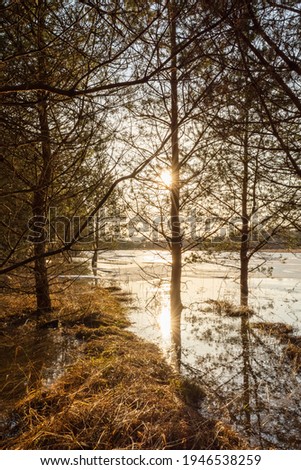 Similar – Foto Bild Lichtexplosion am See