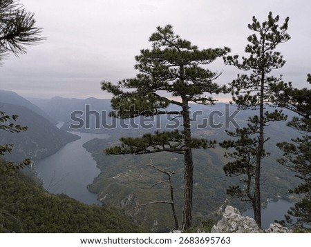 Pine trees on mountain cliff overlooking winding mountain lake at sunset