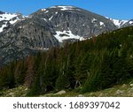 Pine trees slope in front of a massive cliff face during summer in Rocky Mountain National Park in Colorado.