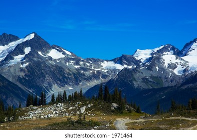 Pine trees and snow peaks of Blackcomb Mountains. More with keyword group14l
