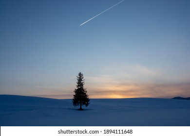 Pine trees standing in the snow field and contrail in the dusk sky
 - Powered by Shutterstock