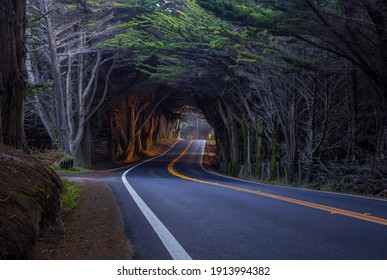 5,446 California tunnel tree Images, Stock Photos & Vectors | Shutterstock