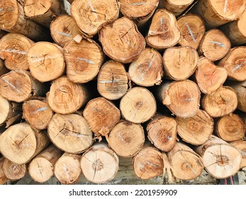 Pine Wood Logs. The Sawn Logs Are Piled Up For Use. Small Lumber To Use