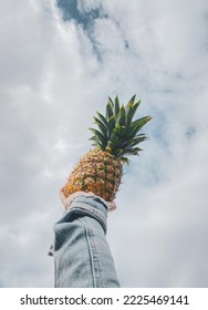 pineapple with a blue background of the sky 
