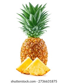 Pineapple. Pineapple with clipping path isolated on a white background. Fresh organic pineapple.