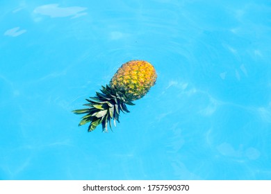 Pineapple floating in the water of a pool