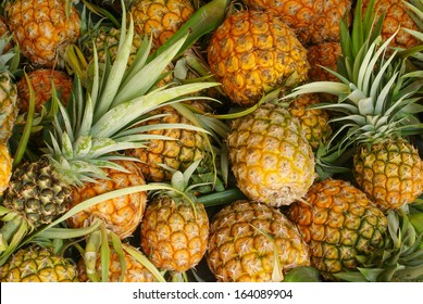 A Lot Of Pineapple Fruit Background