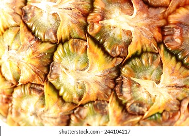 Pineapple Fruit, Macro View