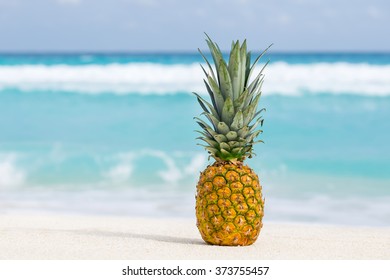 Pineapple Fruit On Sand Against Turquoise Stock Photo 373755457 ...