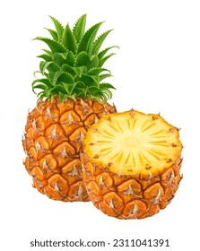 Pineapple isolated on white background, full depth of field - Shutterstock ID 2311041391
