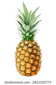 Pineapple isolated on white background, clipping path, full depth of field