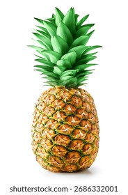 Pineapple isolated on white background. Ripe pineapple Clipping Path.