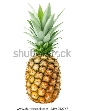 Pineapple isolated on white background, clipping path, full depth of field