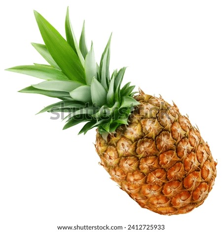 Pineapple isolated on white background, clipping path, full depth of field