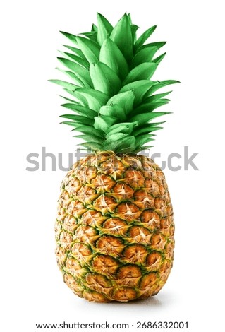 Pineapple isolated on white background. Ripe pineapple Clipping Path.