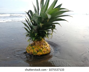 Pineapple on the beach