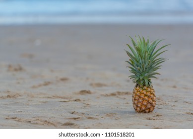 Pineapple on the beach.