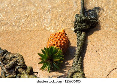 Pineapple on the beach