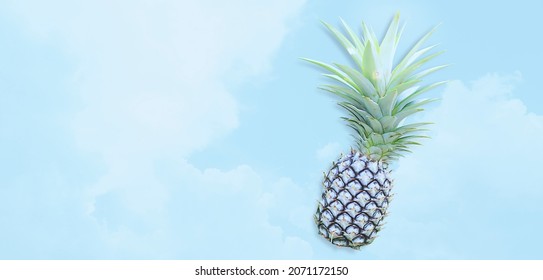 Pineapple On Blue Sly Background