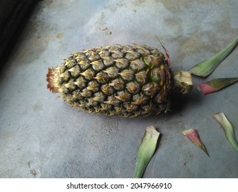 Pineapple on  texture cement backdrop 
