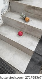 Pineapple on Upper Step, Dragon Fruit on Lower Concrete Stairs