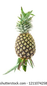 Pineapple on white background