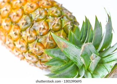 Pineapple on a white background
