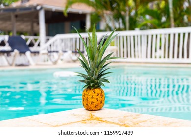 Pineapple in the pool. 