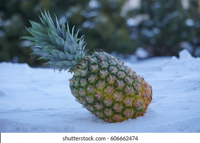  Pineapple in  snow 
