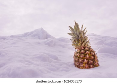 Pineapple stands in the snow.  the concept of spring is coming, happy, along, holiday, vacation. pink background. copy space.
