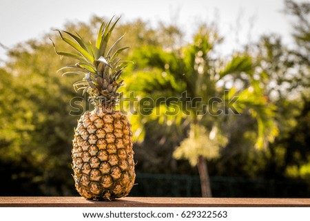 Pineapple at Sunset - Covered in Rays of Sun and Perched on a Ledge, with Palm Trees in the Background, in Hawaii on a Summer Evening