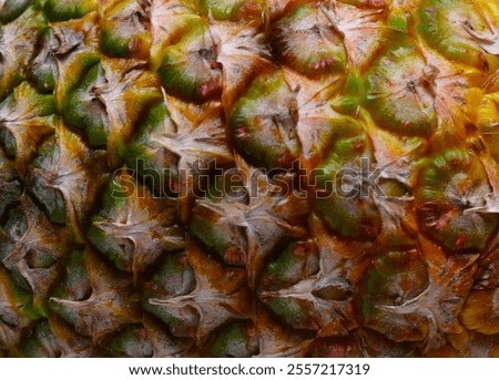 Pineapple texture background close details