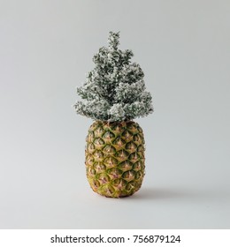Pineapple and winter Christmas tree. Holiday concept.