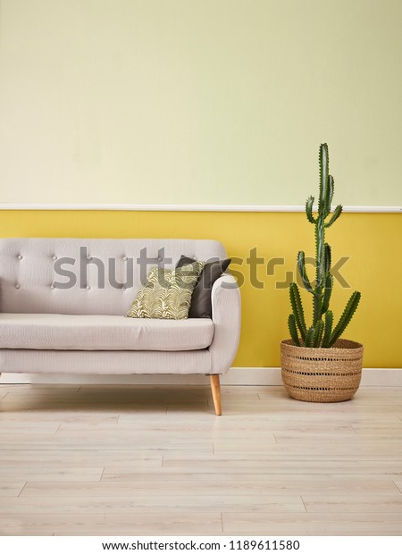 Pineapple Yellow Turquoise Background Wall Color Stock Photo Edit