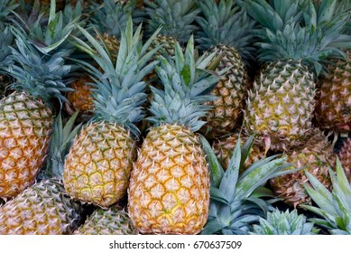 Pineapples Pile, Tropical Fruit Background