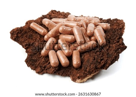 Pinebark capsules as supplement on pine bark  isolated on white background