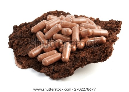 Pinebark capsules as supplement on pine bark  isolated on white background