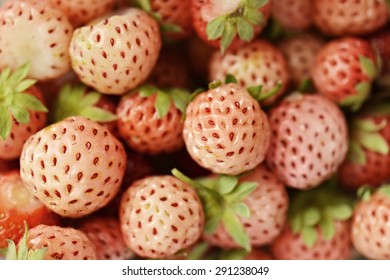 Pineberry