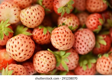 Pineberry