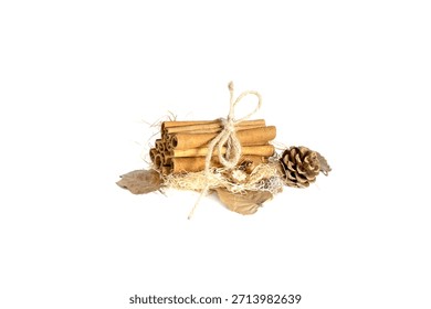 Pinecone Cinnamon Sticks Bundle Rustic Holiday Stilllife Isolated