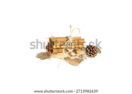Pinecone Cinnamon Sticks Bundle Rustic Holiday Stilllife Isolated