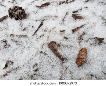 Pinecone And Mulch Covered By Snow In The Garden