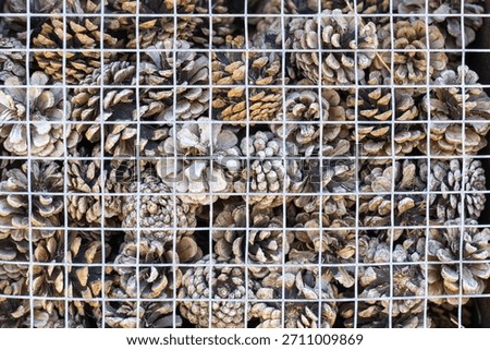 Pinecone texture behind wire mesh